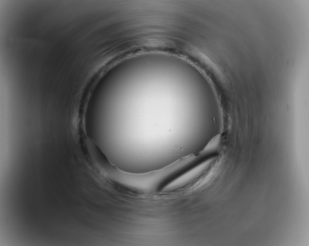 X0000092061065200709262023