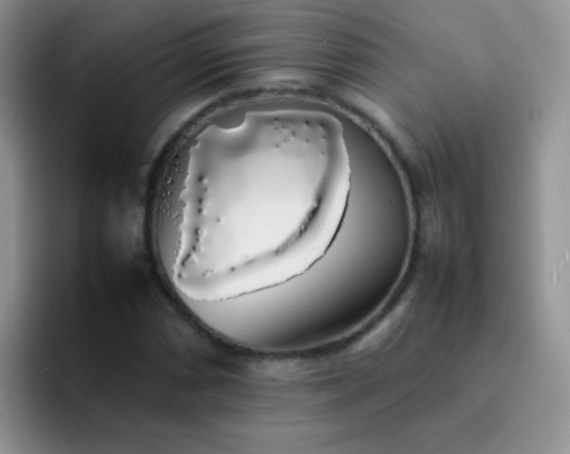 X0000092061066200709262023