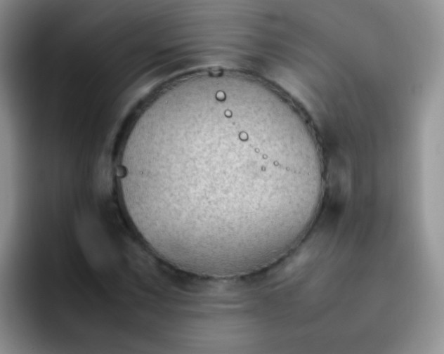 X0000092061067200709262023