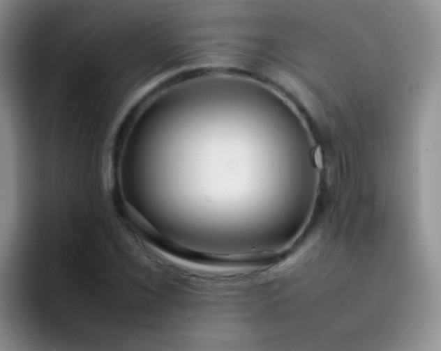 X0000092061069200709262023