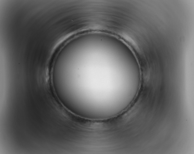 X0000092061070200709262023