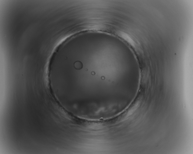 X0000092061071200709262023