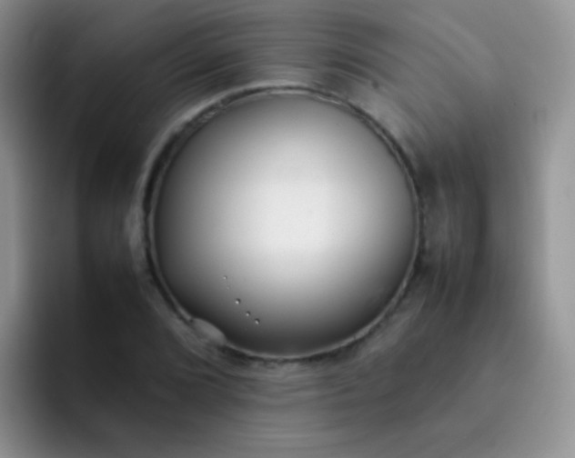 X0000092061072200709262023