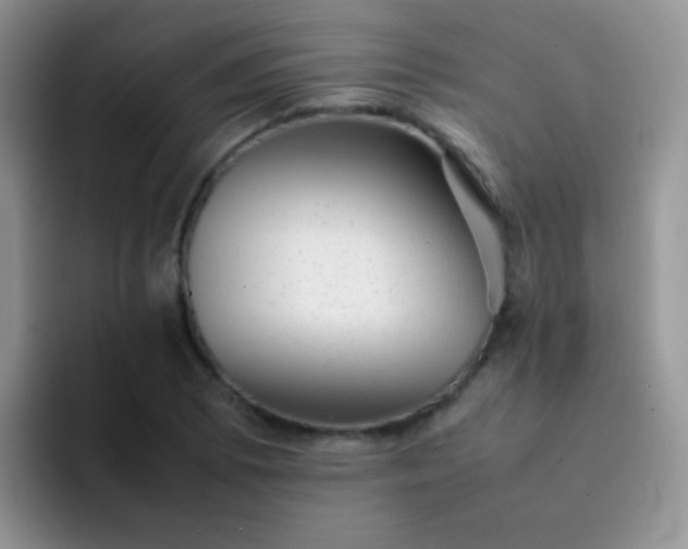 X0000092061073200709262023