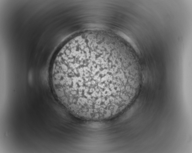 X0000092061074200709262023