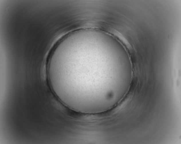 X0000092061075200709262023