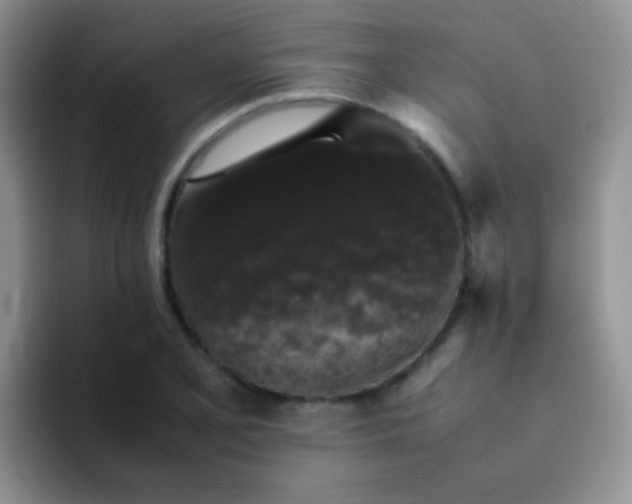 X0000092061077200709262023