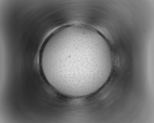 X0000092061078200709262023