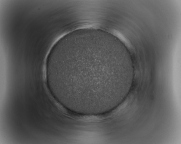 X0000092061079200709262023