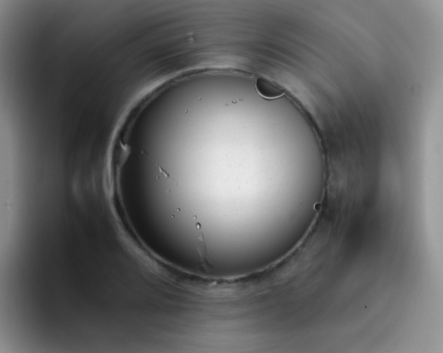 X0000092061080200709262023