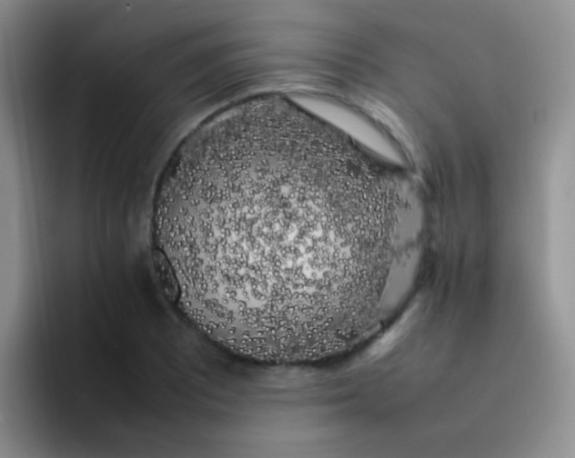 X0000092061081200709262023