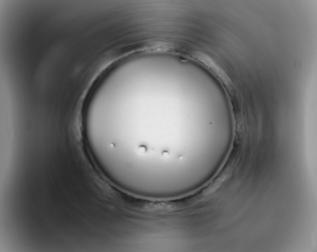 X0000092061083200709262023