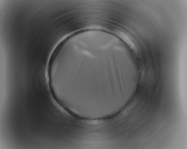 X0000092061084200709262023