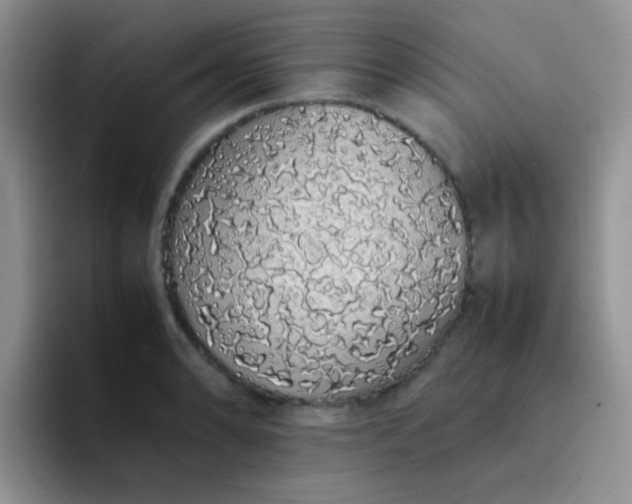 X0000092061086200709262023