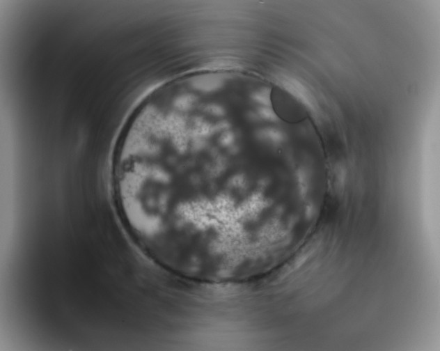 X0000092061087200709262023