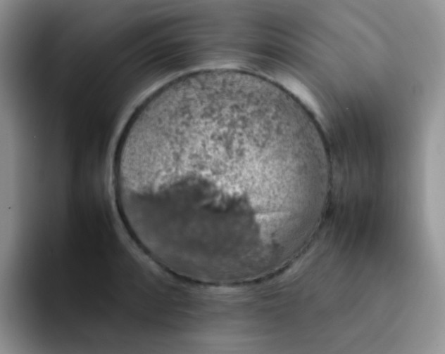 X0000092061088200709262023