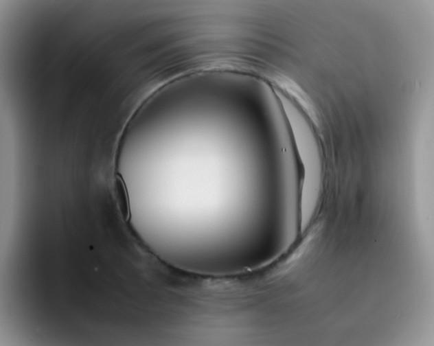 X0000092061089200709262023