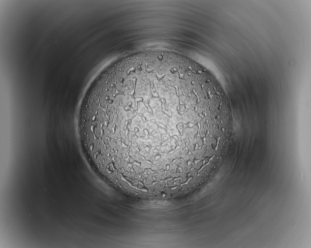 X0000092061090200709262023