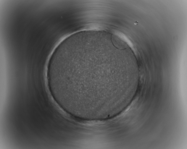 X0000092061091200709262023