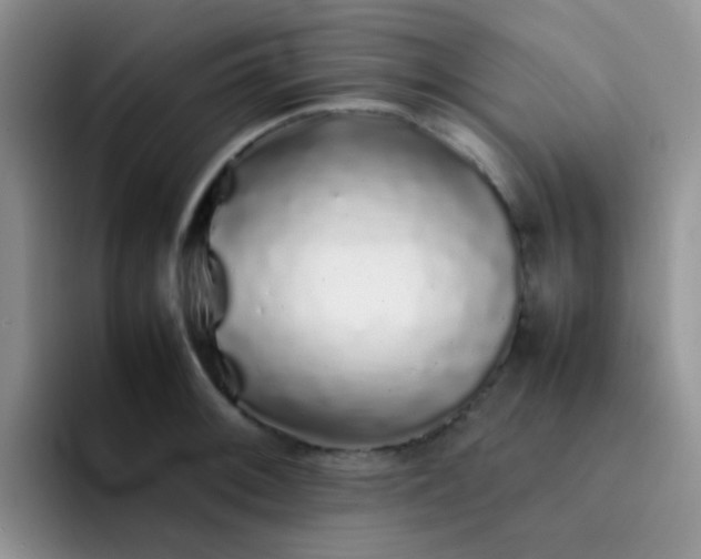 X0000092061092200709262023