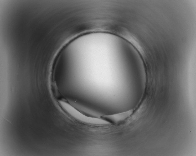 X0000092061093200709262023