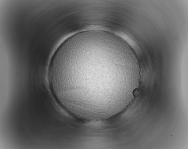 X0000092061094200709262023