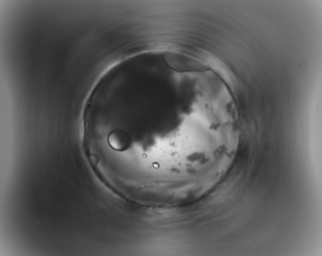 X0000092061095200709262023