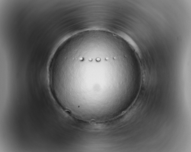 X0000092061096200709262023