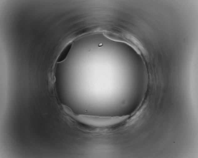 X0000092061097200709262023