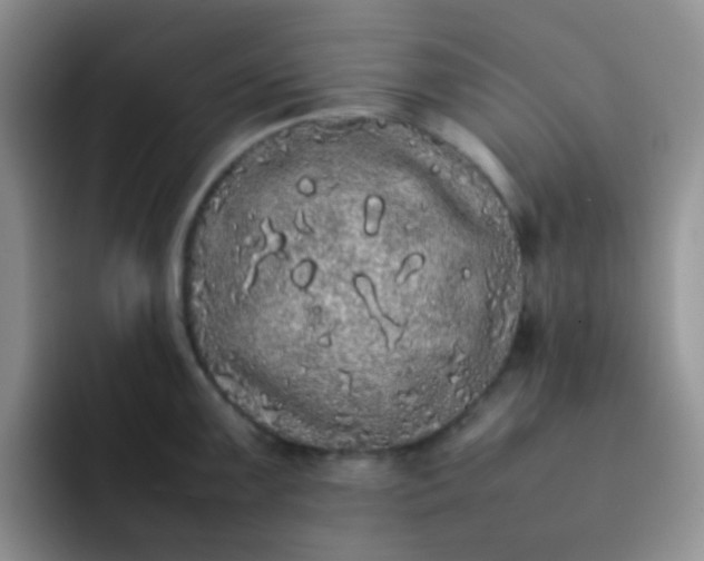 X0000092061099200709262023