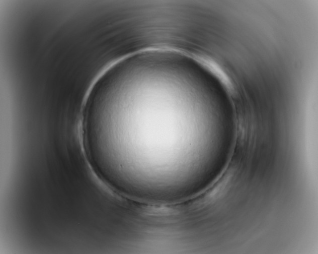 X0000092061100200709262023