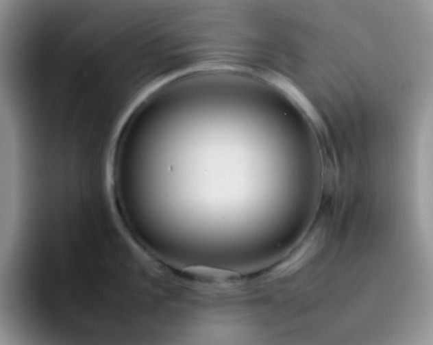 X0000092061101200709262023