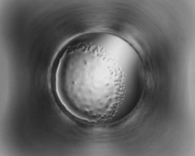 X0000092061102200709262023