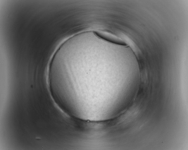 X0000092061103200709262023