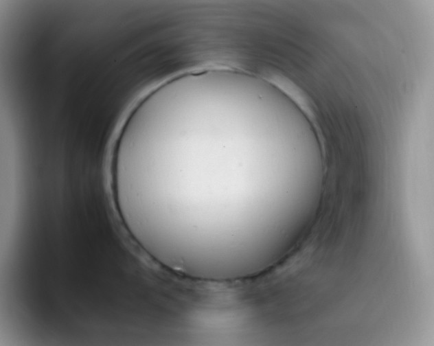 X0000092061104200709262023