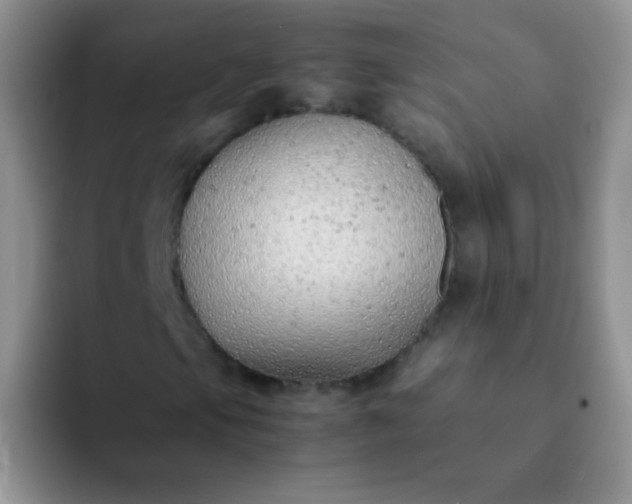 X0000092061105200709262022