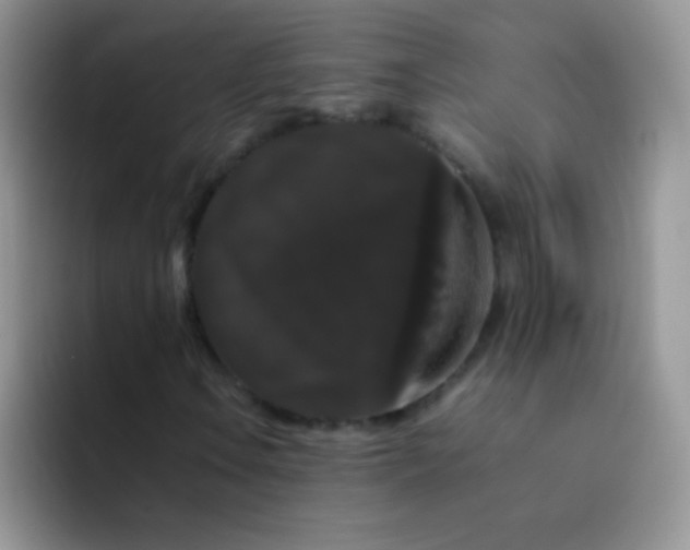 X0000092061106200709262022