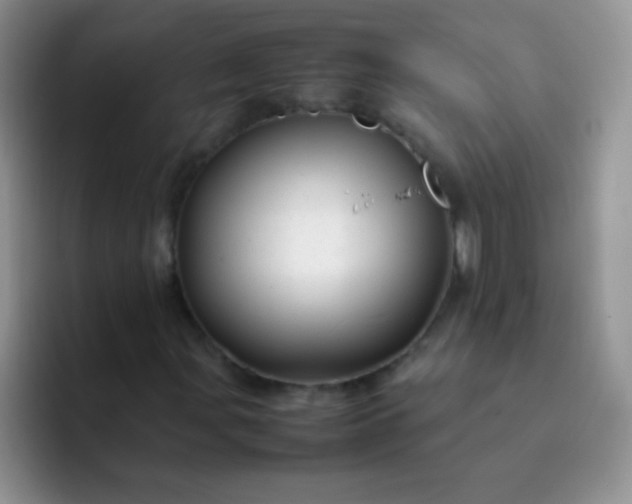 X0000092061107200709262022