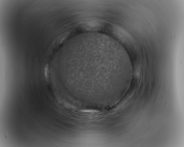 X0000092061108200709262022