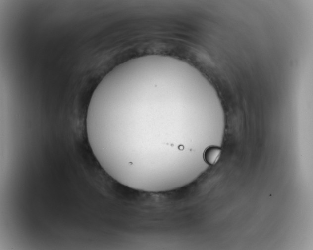 X0000092061109200709262022