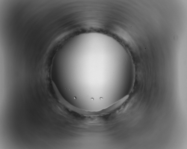 X0000092061112200709262022