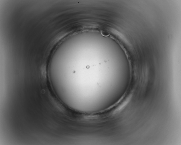 X0000092061113200709262022