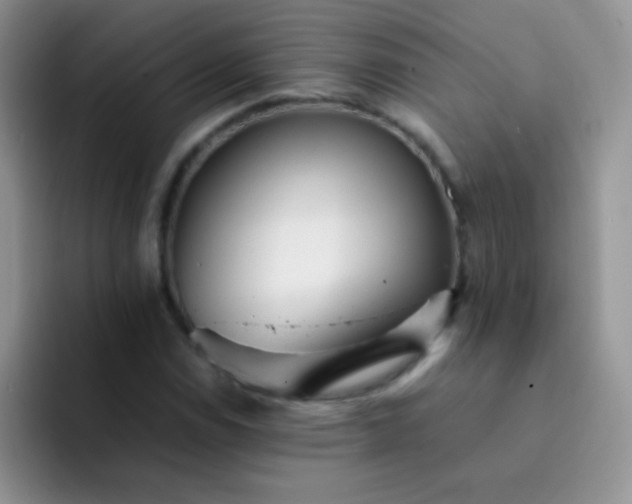 X0000092061114200709262022