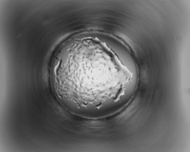 X0000092061115200709262022