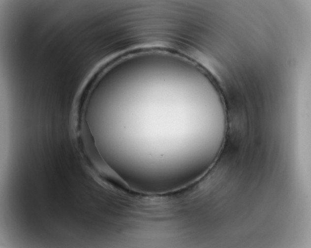 X0000092061116200709262023