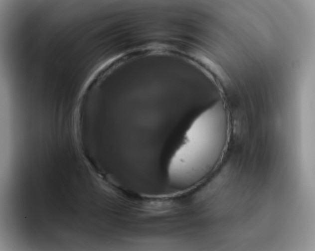 X0000092061117200709262023