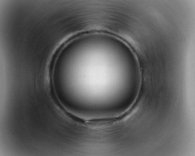 X0000092061118200709262023