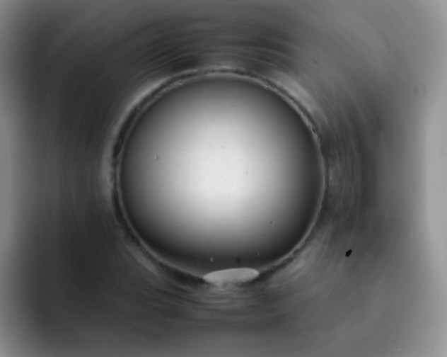 X0000092061119200709262023