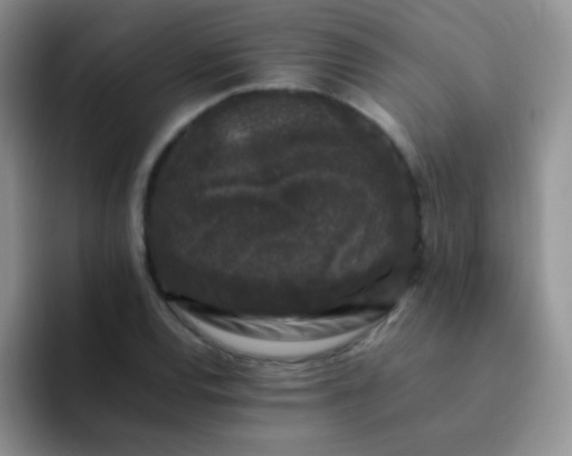 X0000092061120200709262023