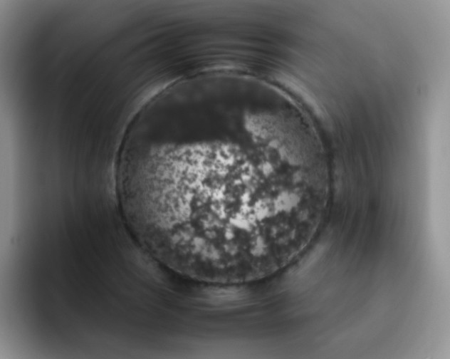 X0000092061121200709262023